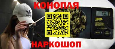 эйфоретик Кингисепп