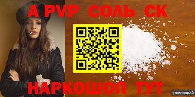 эйфоретик Кингисепп