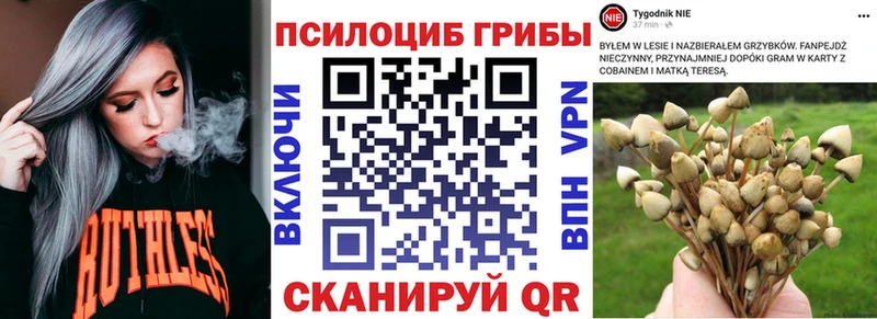 kraken tor  сайты даркнета состав  Галлюциногенные грибы MAGIC MUSHROOMS  купить наркоту  Люберцы 
