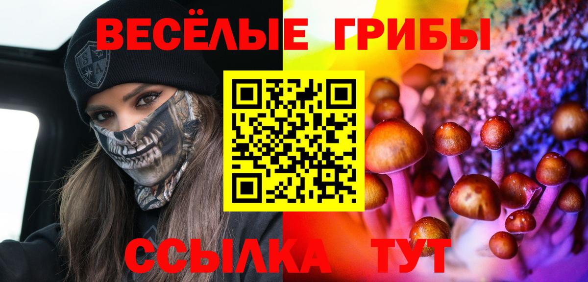 Галлюциногенные грибы мицелий Люберцы